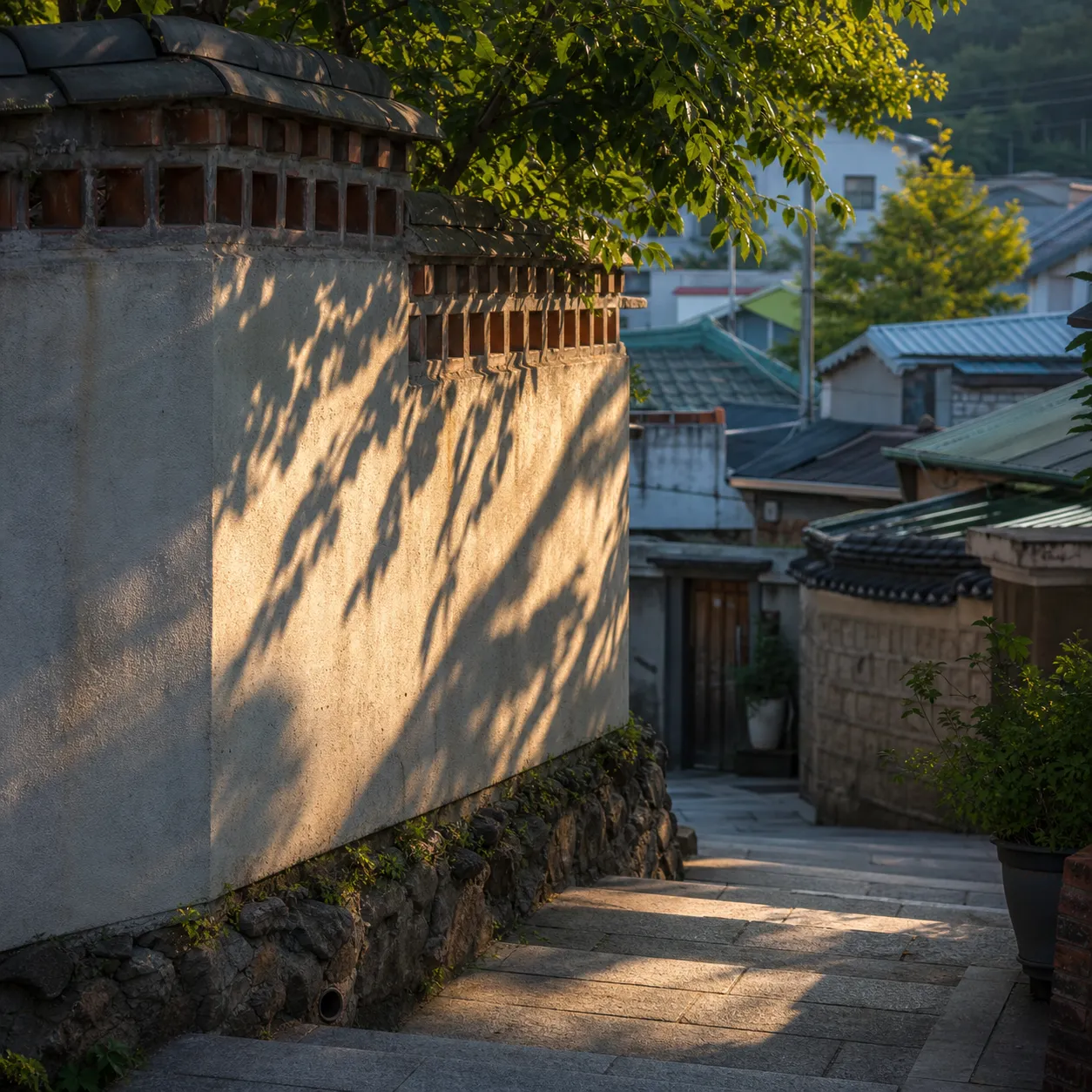 그늘이 머무는 자리
