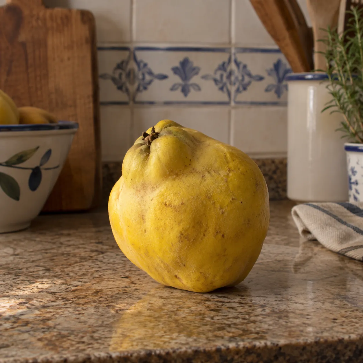 Una fruta para observar de cerca